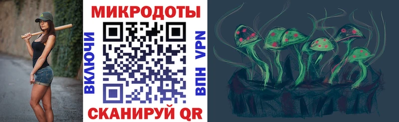 kraken зеркало  Новотроицк  Галлюциногенные грибы Psilocybe 